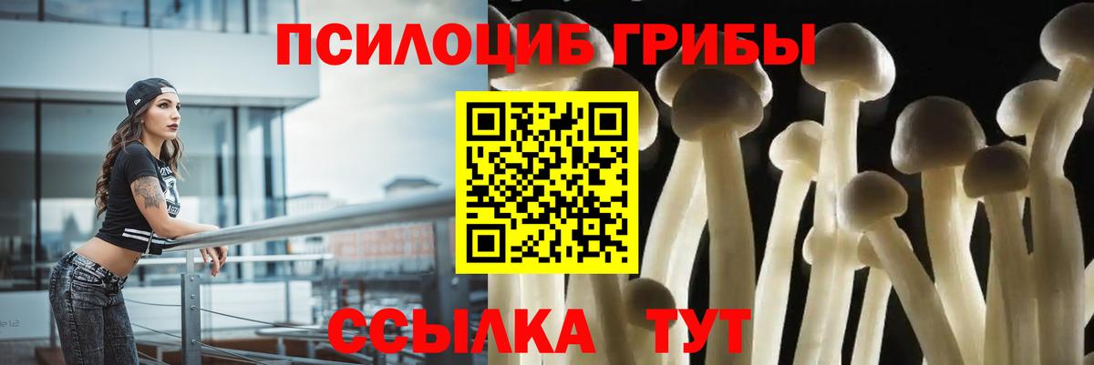 Чистополь  Псилоцибиновые грибы MAGIC MUSHROOMS  Вход с VPN  Псилоцибиновые грибы Psilocybine cubensis 