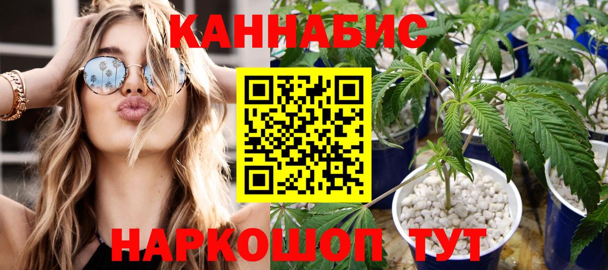МАРИХУАНА OG Kush Чистополь